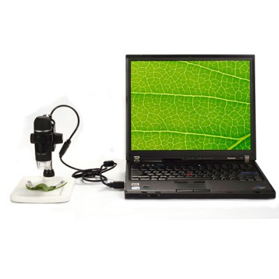 Цифровий мікроскоп SIGETA Expert 10x-300x 5.0Mpx