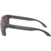 Окуляри Oakley Holbrook Steel w/ Prizm Daily Polar