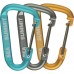 Набір карабінів Sea To Summit Accessory Carabiner (3 шт/уп)